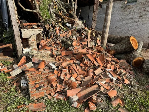 1000951720-69049b3ddc53d830255891